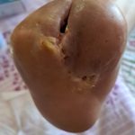 69c5d461-2707-4721-a1ec-36213eef71f4